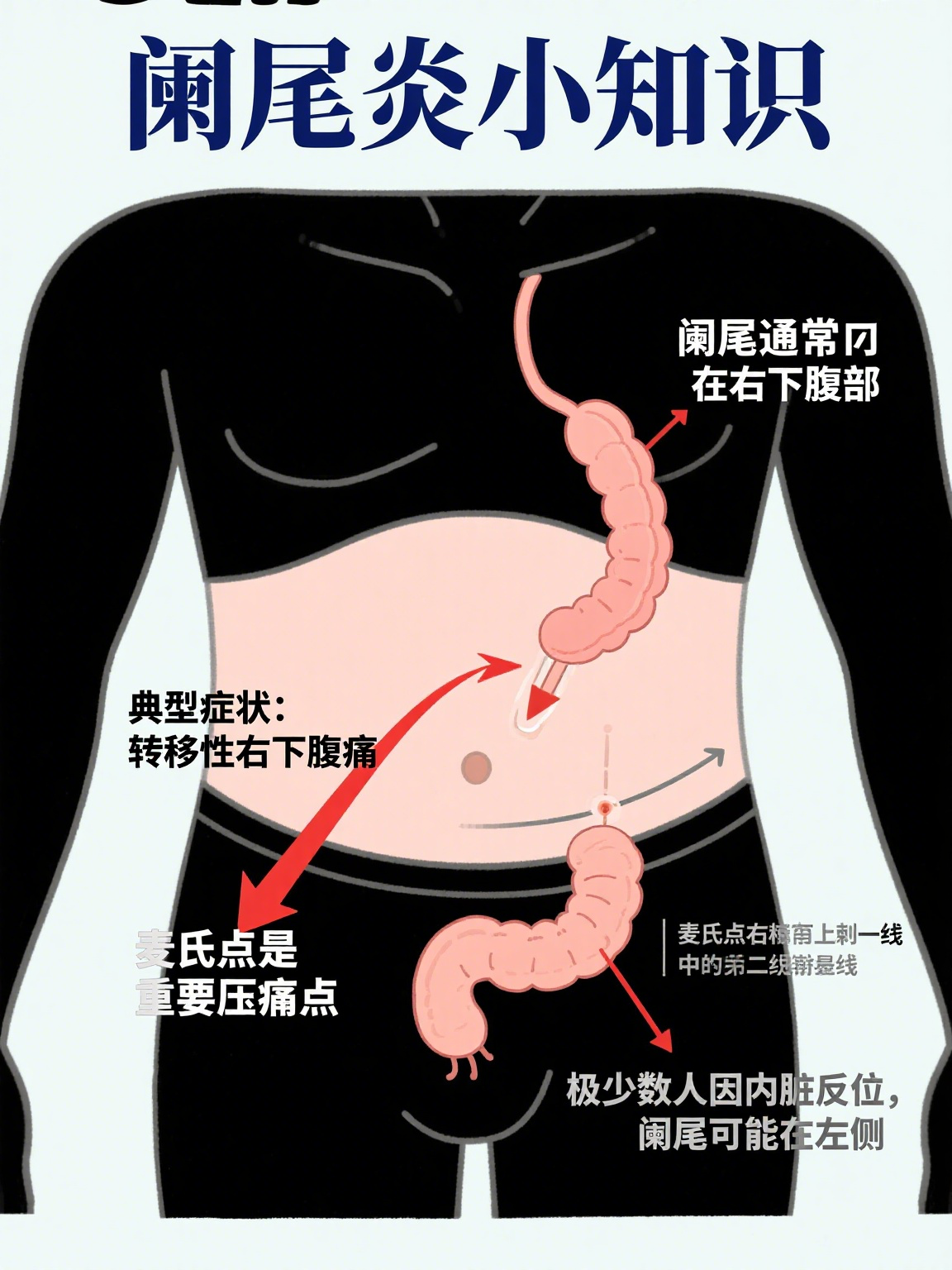 小腹在哪个位置(小腹在哪个位置图片 小肚子)