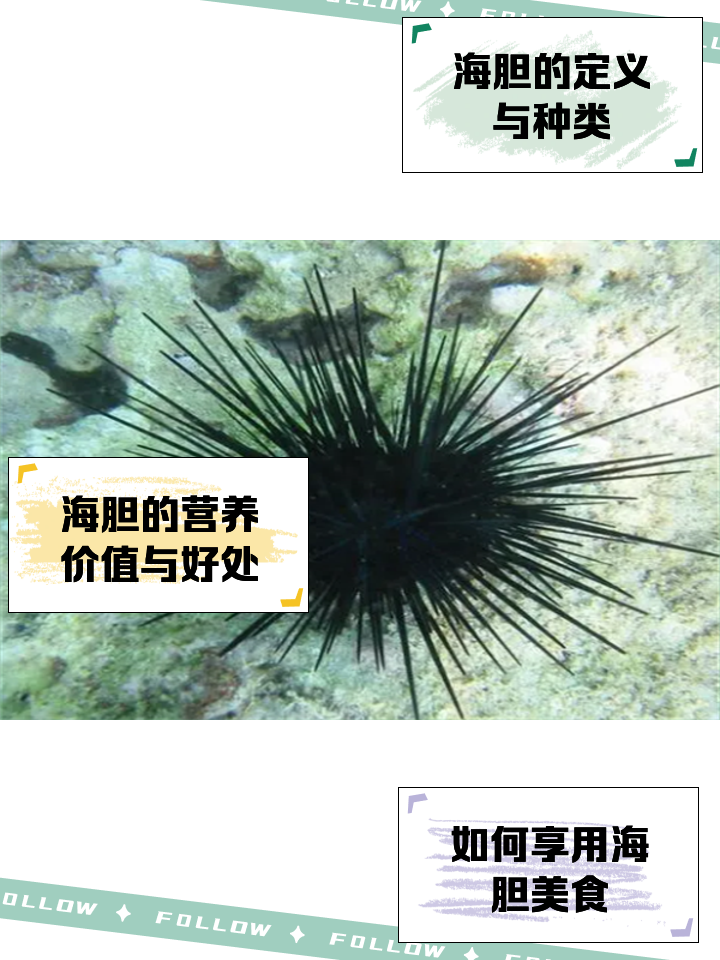 海胆的营养价值(海胆的营养价值对人身体好处) 海胆的营养价值(海胆的营养价值对人身体好处)
