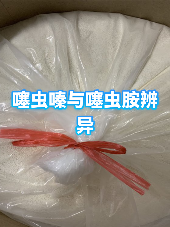 噻虫胺与噻虫嗪的区别(噻虫嗪和噻虫胺是一回事吗)