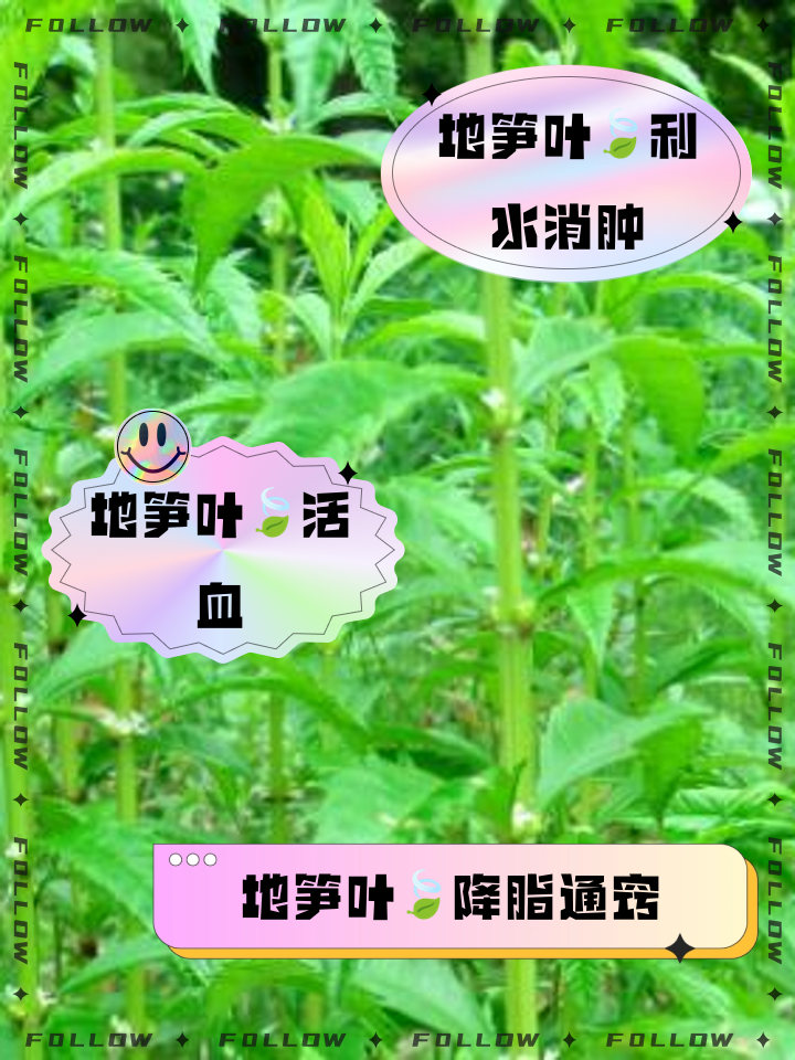 地龙骨的功效与作用图片(地龙骨的功效与作用及副作用)
