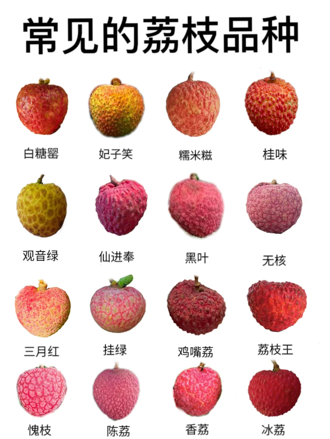 海南荔枝几月份上市(海南荔枝什么时候开花)