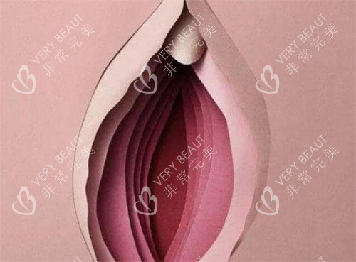 处女膜实物(处女 膜是什么) 处女膜实物(处女 膜是什么)