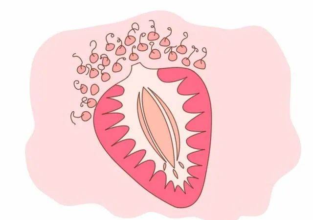 女性生殖部位高清图片(女性生殖部位高清图片视频) 女性生殖部位高清图片(女性生殖部位高清图片视频)