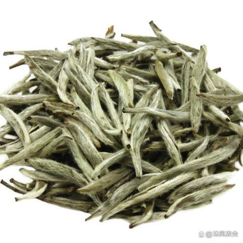 白茶存放多长时间最好(白茶存放多久就不能喝了) 白茶存放多长时间最好(白茶存放多久就不能喝了)