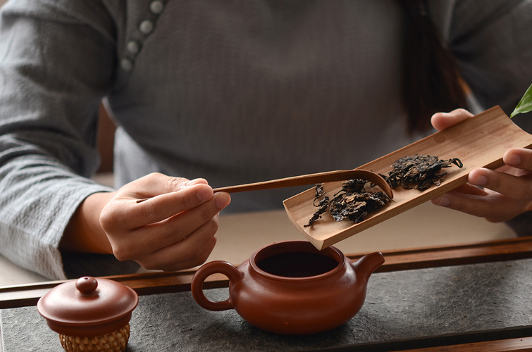 普洱茶怎么泡才正确方法(熟普洱茶怎么泡才正确方法)