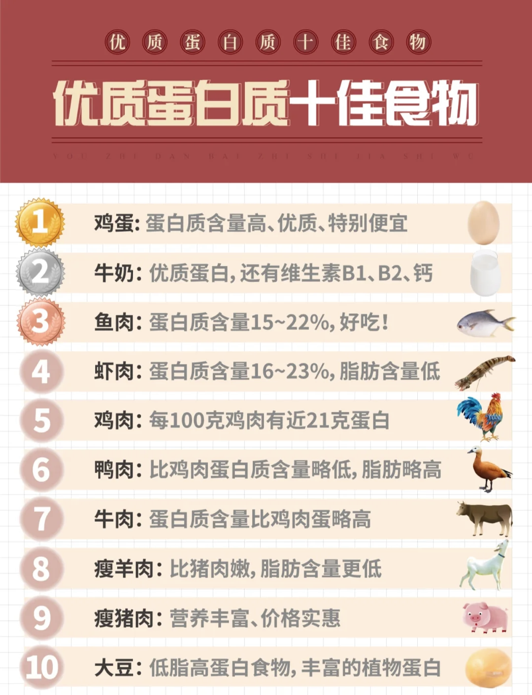 豆类蛋白质含量排名(各种豆蛋白质含量排名)