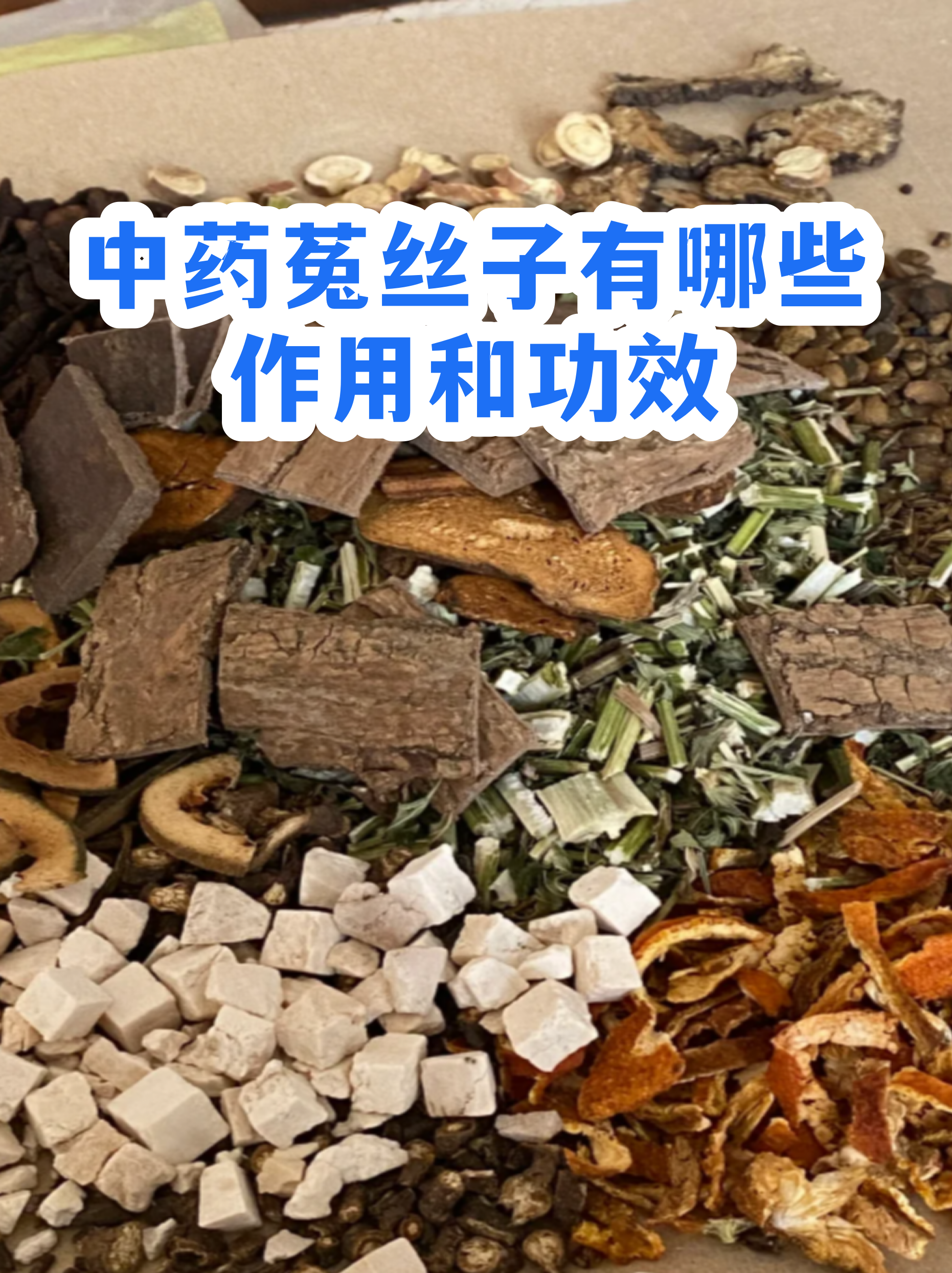 盐菟丝子的功效与作用(盐菟丝子的功效与作用点与作用)