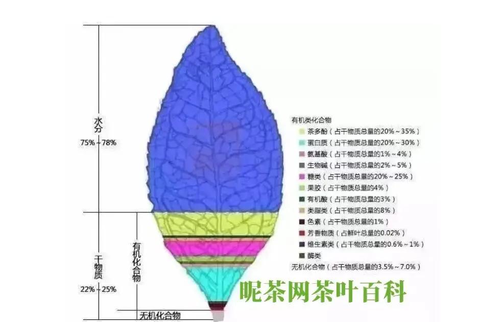 茶里面有没有咖啡的成分(茶里面有没有咖啡的成分含量) 茶里面有没有咖啡的成分(茶里面有没有咖啡的成分含量)
