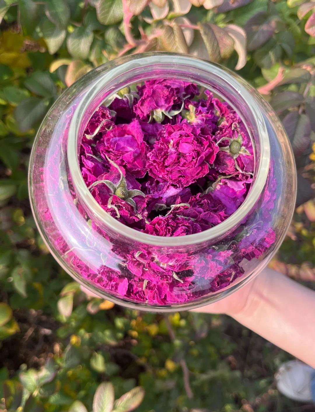 玫瑰花茶和什么泡最好(玫瑰花茶和什么在一起泡最好) 玫瑰花茶和什么泡最好(玫瑰花茶和什么在一起泡最好)