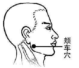 颊车的准确位置图(颊车的准确位置图作用功效) 颊车的准确位置图(颊车的准确位置图作用功效)