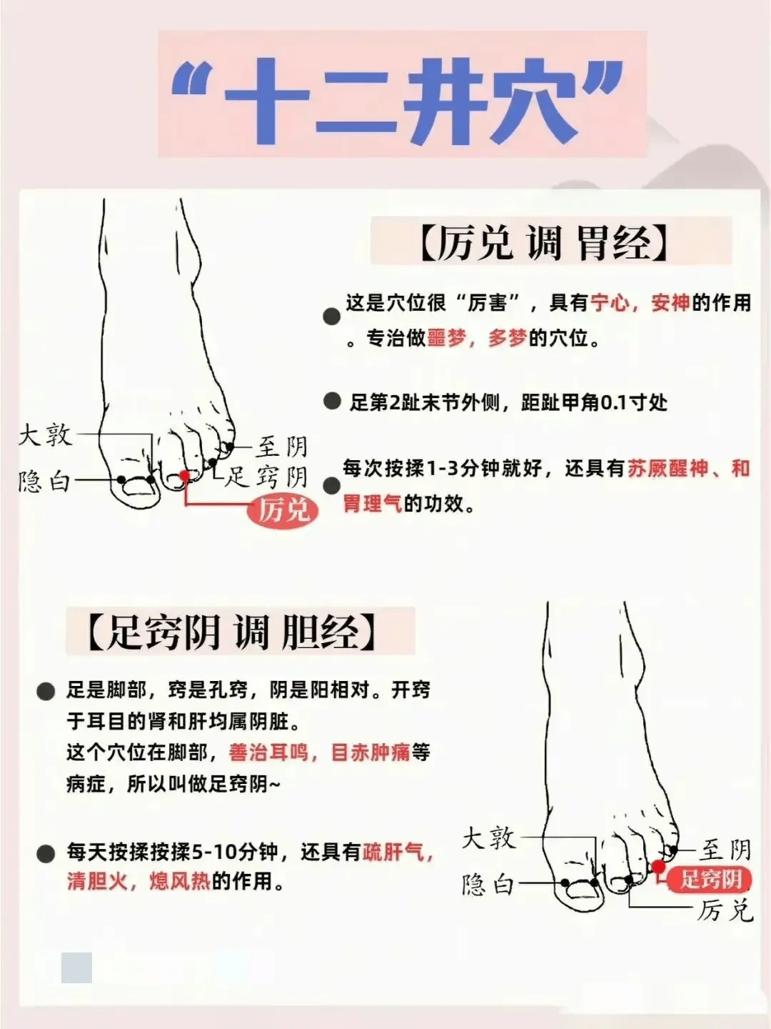 前顶的准确位置图和作用(前顶的准确位置图和作用的准确位置图片) 前顶的准确位置图和作用(前顶的准确位置图和作用的准确位置图片)