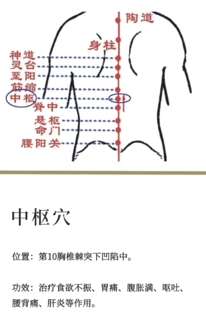 关元俞(关元俞位置图和作用) 关元俞(关元俞位置图和作用)