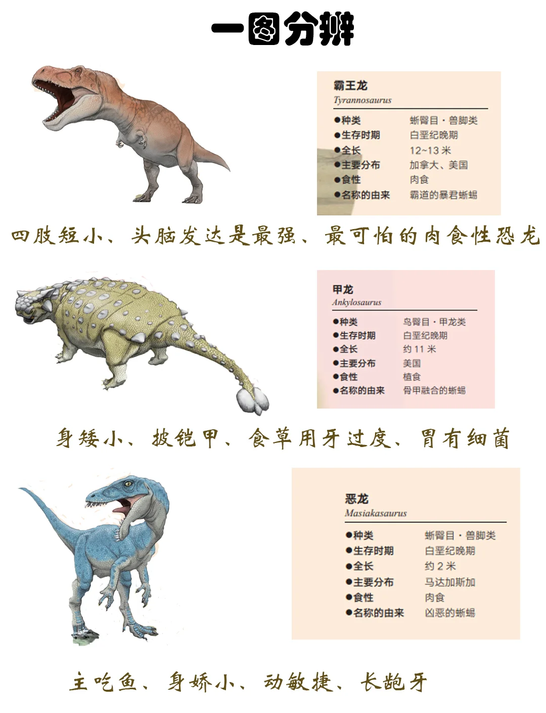 恐龙介绍及图片(恐龙简介图谱大全集) 恐龙介绍及图片(恐龙简介图谱大全集)