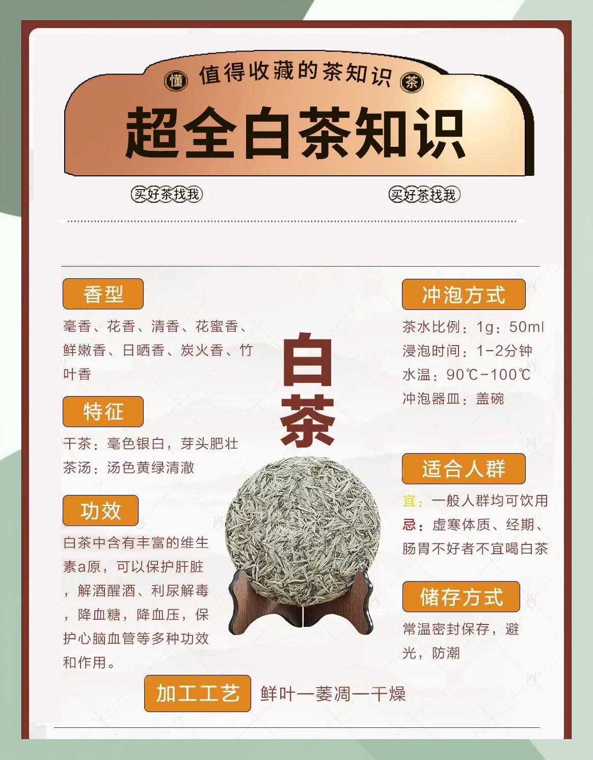 安吉白茶的特点和功效(白茶和老白茶有什么区别) 安吉白茶的特点和功效(白茶和老白茶有什么区别)