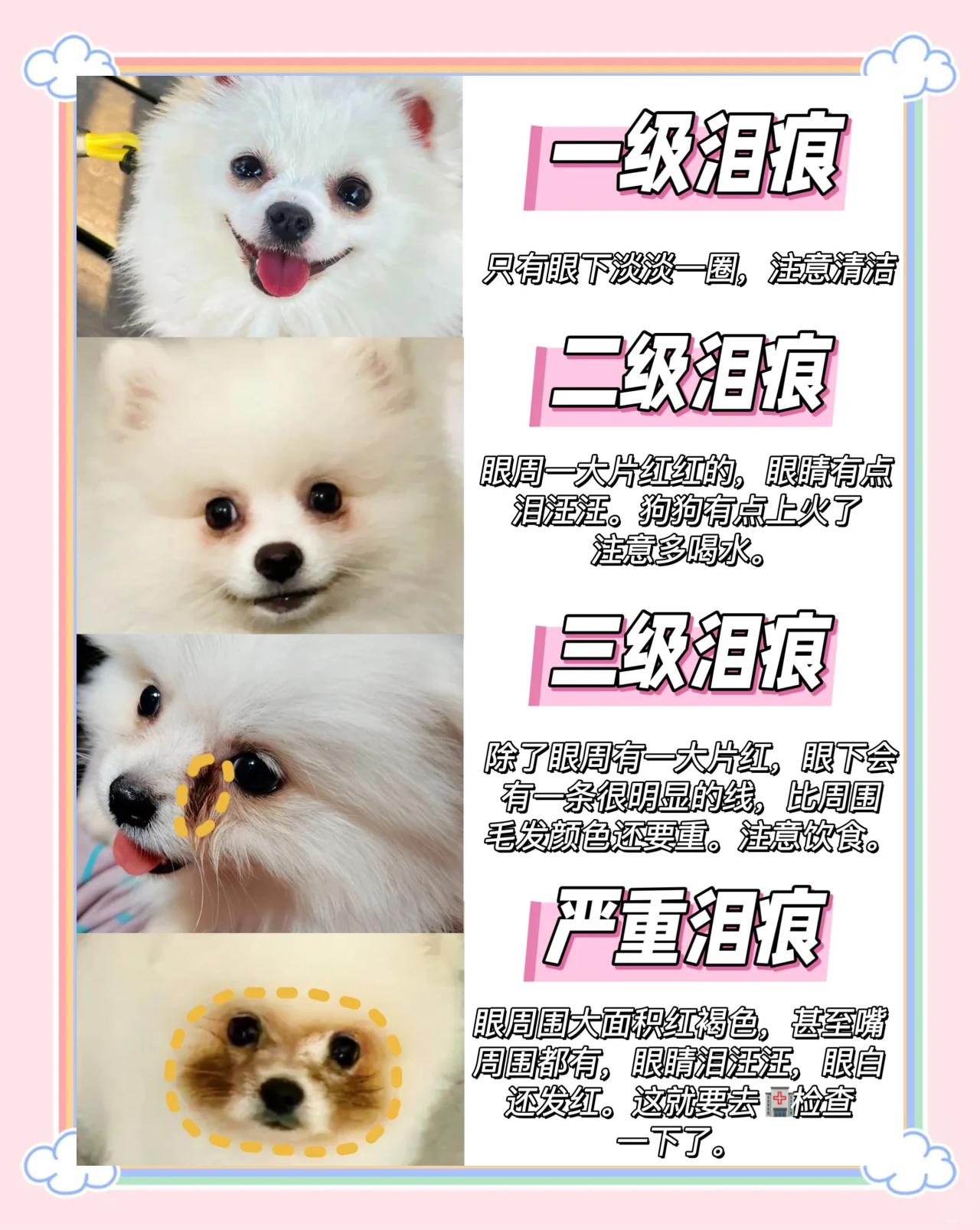 狗哭是什么征兆(家里狗哭是什么征兆) 狗哭是什么征兆(家里狗哭是什么征兆)