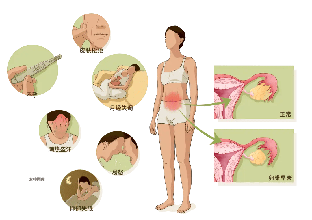 女生生殖器官图片的简单介绍 女生生殖器官图片的简单介绍