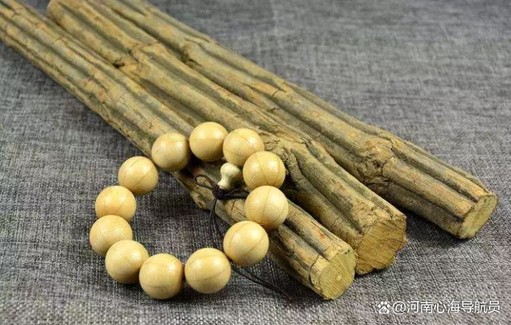 真正的降龙木图片(真正的降龙木图片 拐杖) 真正的降龙木图片(真正的降龙木图片 拐杖)