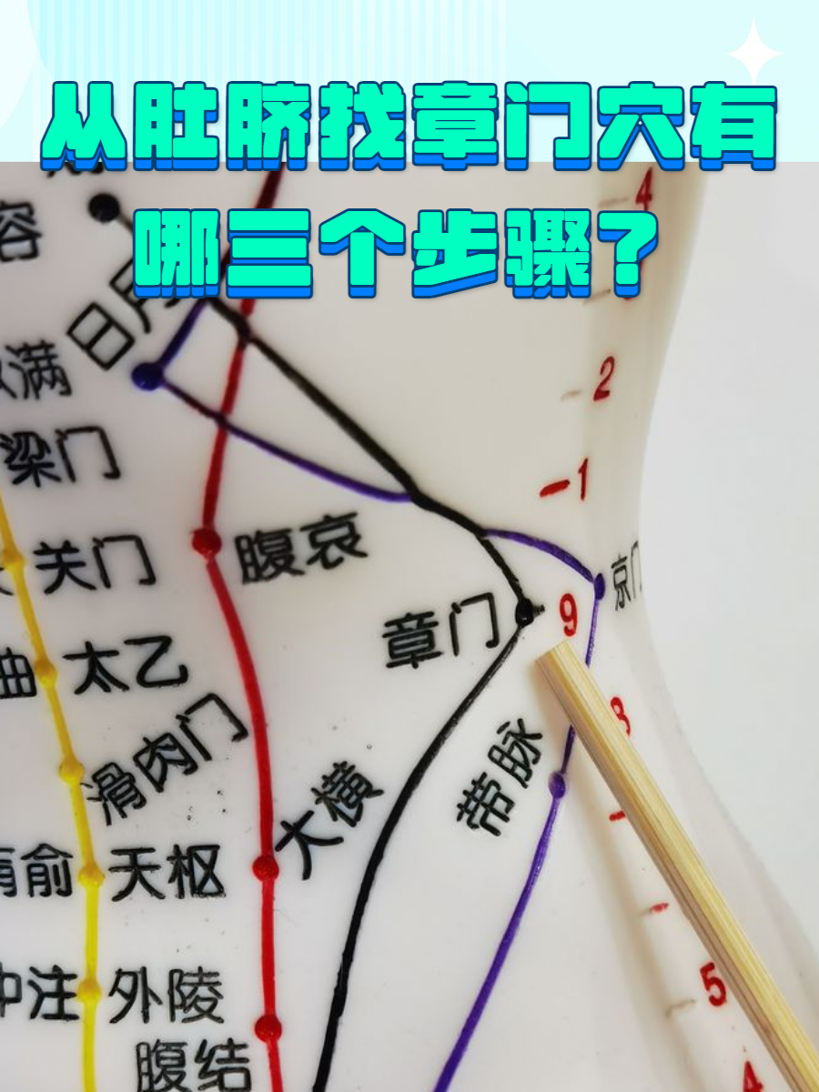 梁门穴(梁门穴的位置与作用和功效) 梁门穴(梁门穴的位置与作用和功效)