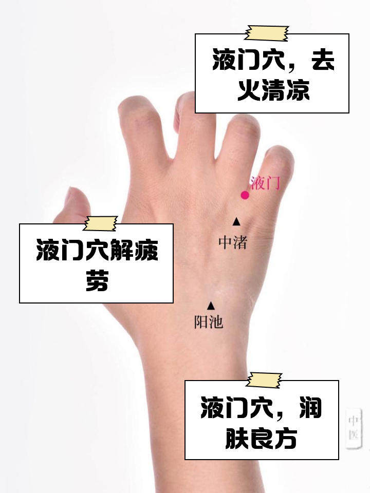 风门准确位置图和功效(风门的准确位置图和功效) 风门准确位置图和功效(风门的准确位置图和功效)