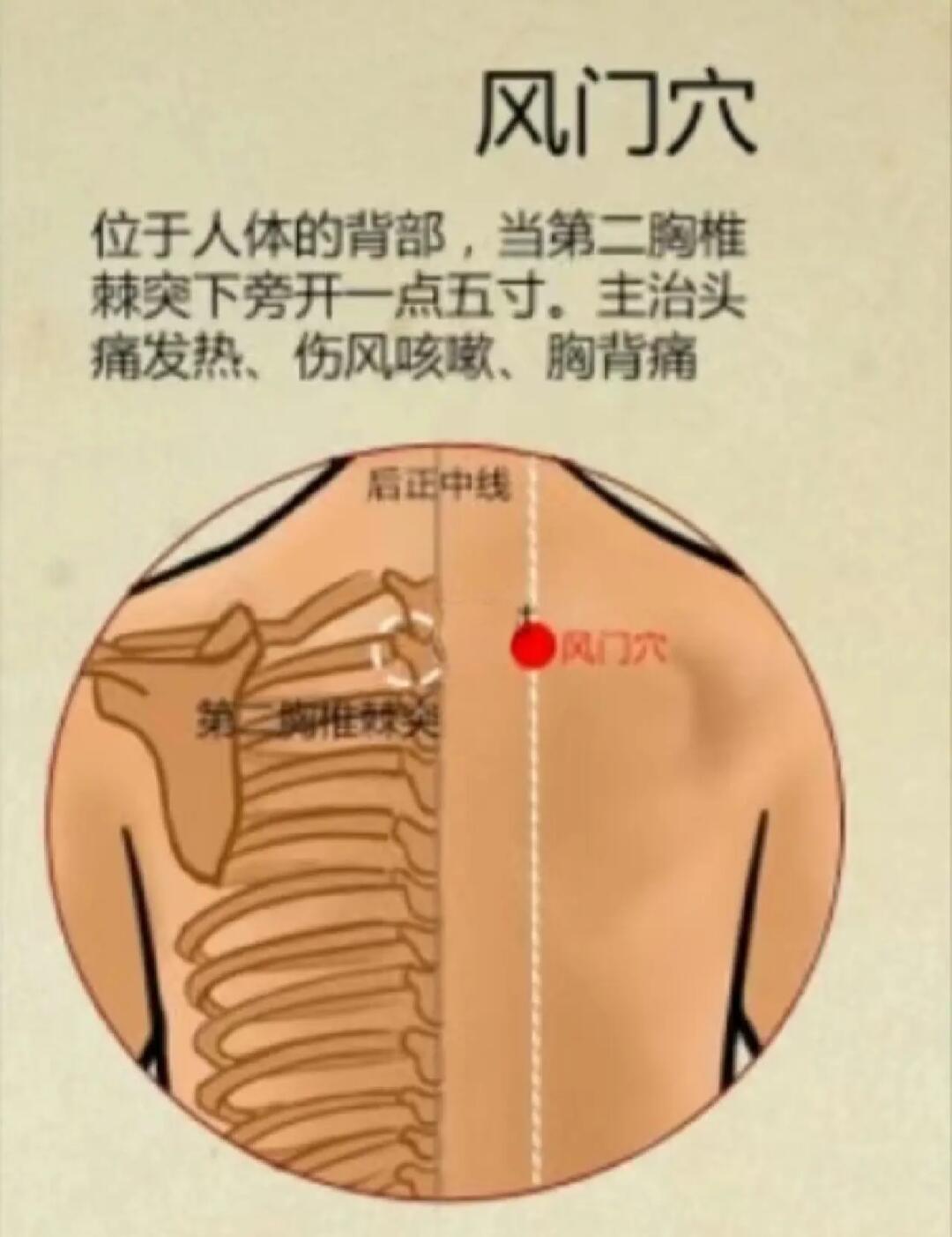 风门准确位置图和功效(风门的准确位置图和功效) 风门准确位置图和功效(风门的准确位置图和功效)