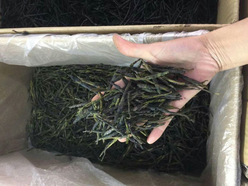 苦丁茶产地(贵州苦丁茶产地) 苦丁茶产地(贵州苦丁茶产地)