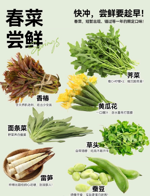 西洋菜功效和作用(西洋菜功效和作用图片) 西洋菜功效和作用(西洋菜功效和作用图片)