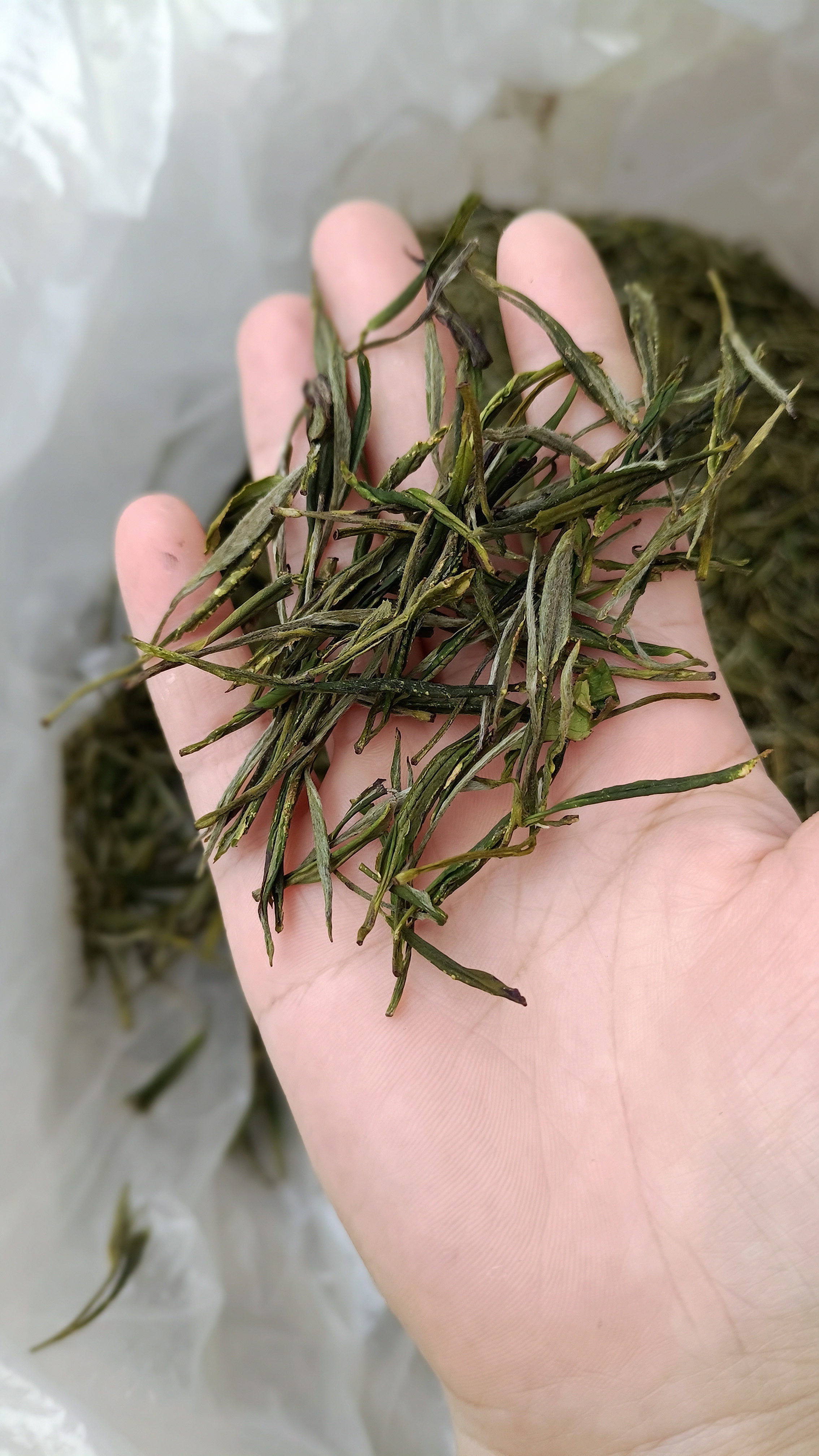 碱性最强的茶叶(十大碱性最强的茶叶) 碱性最强的茶叶(十大碱性最强的茶叶)