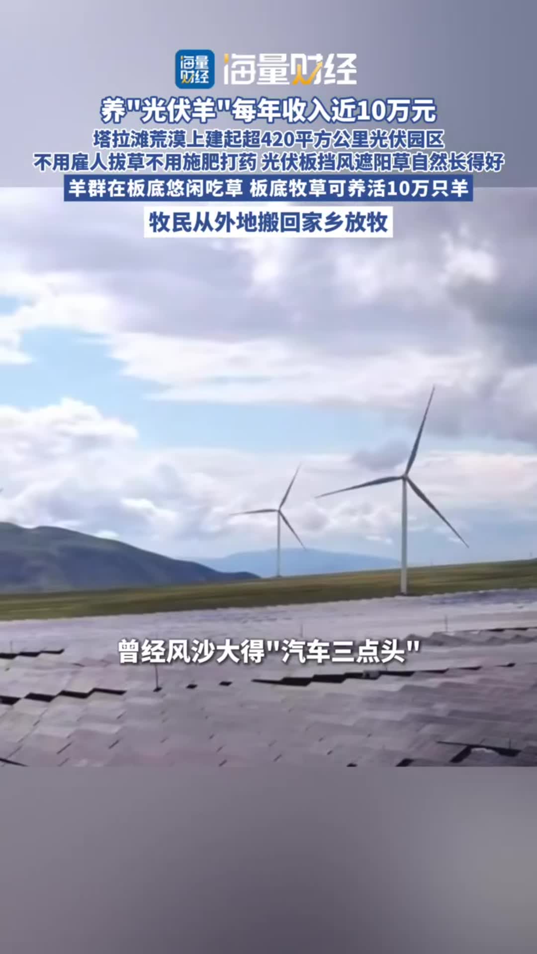 养多少羊一年能挣十万(养多少羊一年能挣100万) 养多少羊一年能挣十万(养多少羊一年能挣100万)