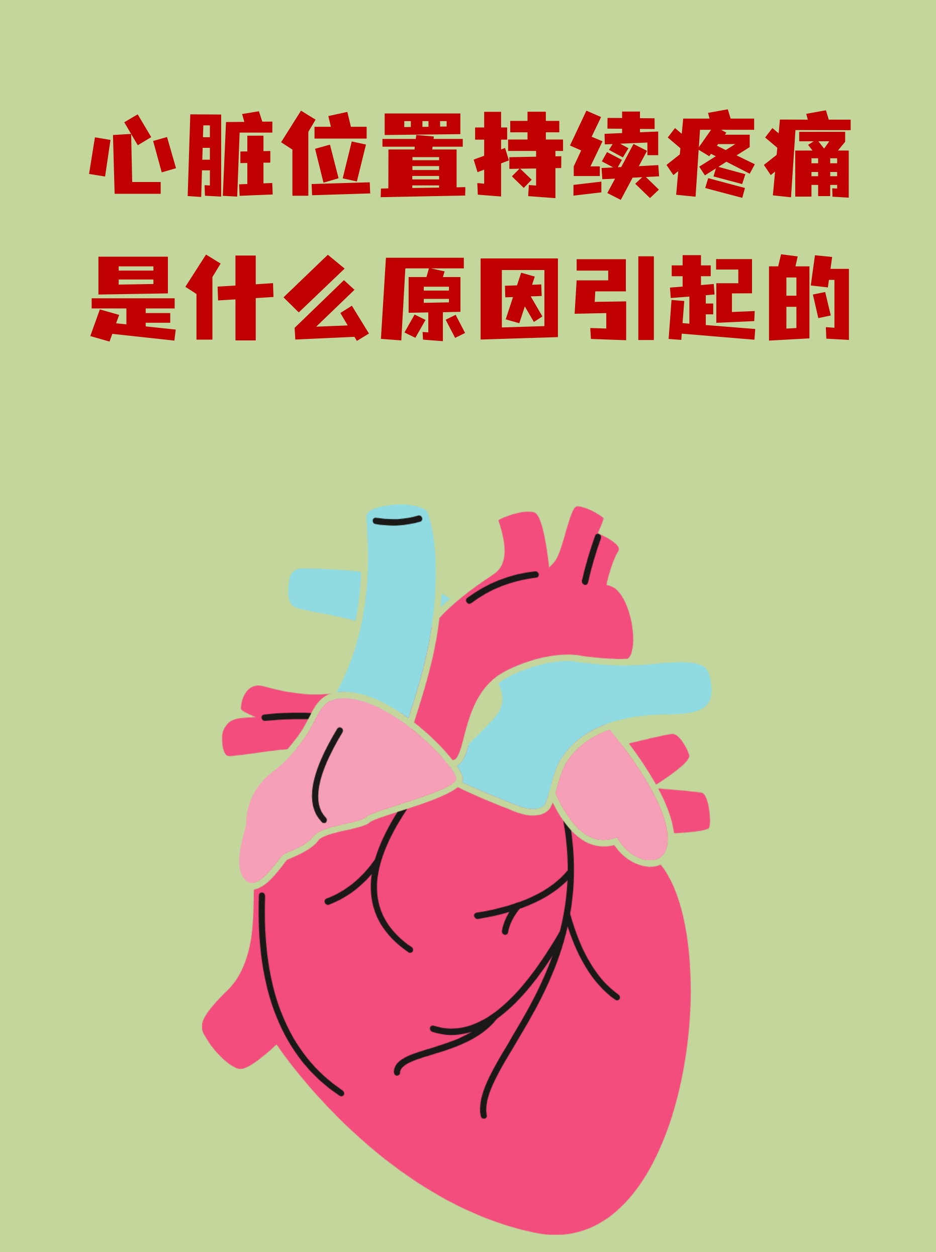 心脏的位置图片(心脏的位置图片 解剖图) 心脏的位置图片(心脏的位置图片 解剖图)