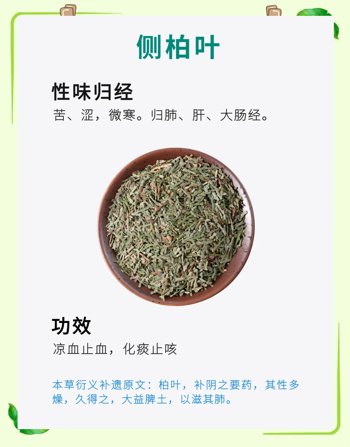 止咳草的功效与作用(止咳草的功效与作用图片) 止咳草的功效与作用(止咳草的功效与作用图片)