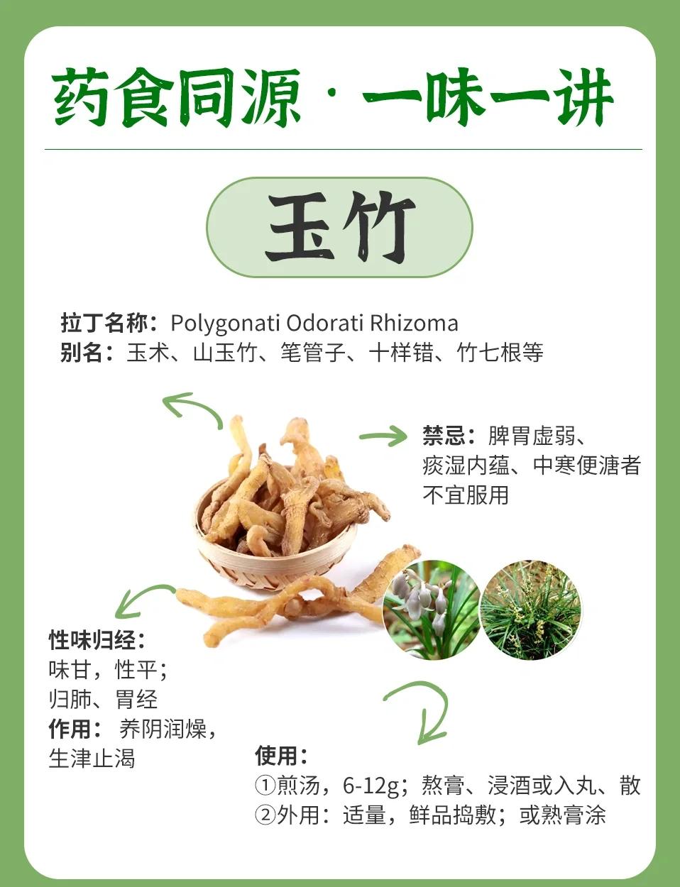 止咳草的功效与作用(止咳草的功效与作用图片) 止咳草的功效与作用(止咳草的功效与作用图片)