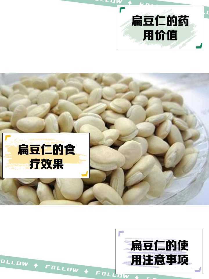 扁豆的功效与作用禁忌(扁豆的功效与作用禁忌和副作用) 扁豆的功效与作用禁忌(扁豆的功效与作用禁忌和副作用)