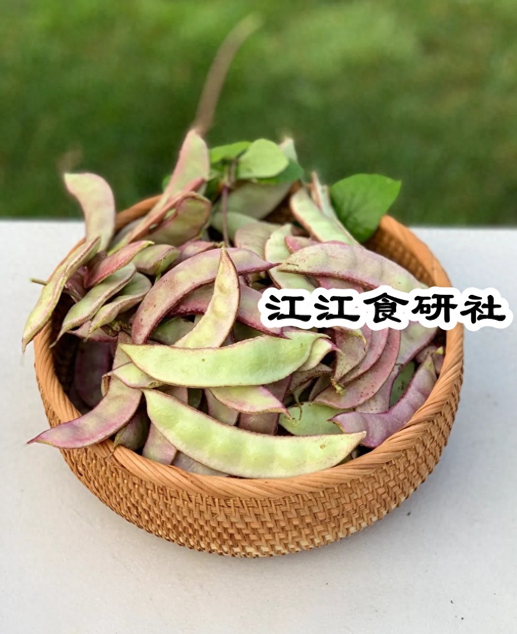 扁豆的功效与作用禁忌(扁豆的功效与作用禁忌和副作用) 扁豆的功效与作用禁忌(扁豆的功效与作用禁忌和副作用)