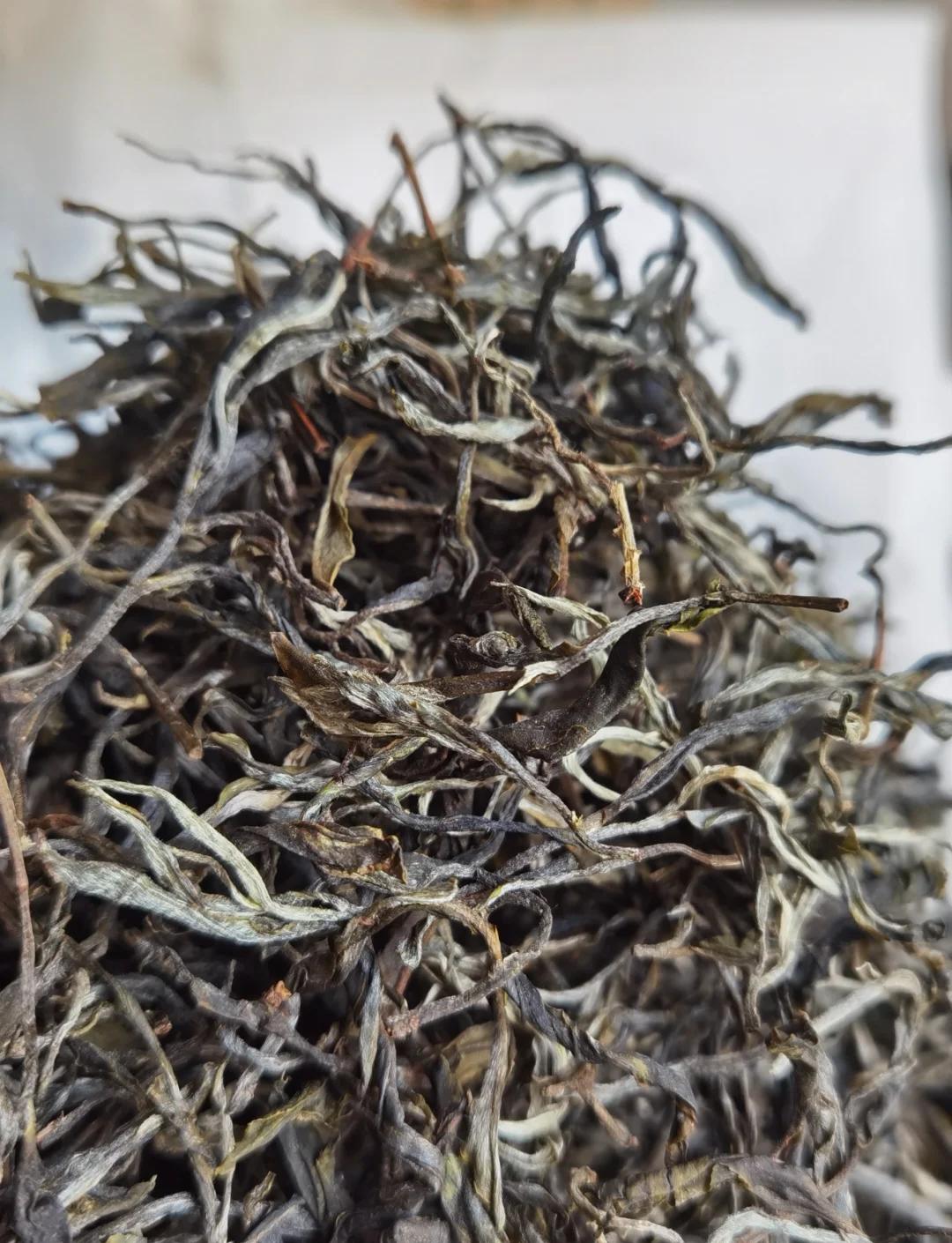 邦崴古树茶(邦崴古树茶属于什么档次) 邦崴古树茶(邦崴古树茶属于什么档次)