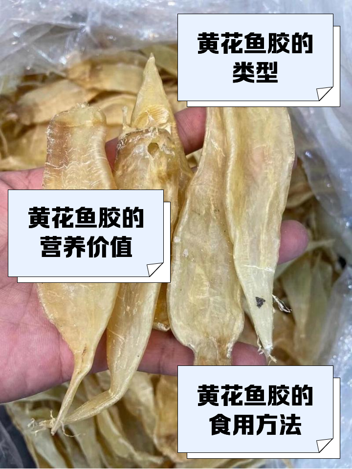 黄明胶的作用与功效(黄明胶的作用与功效是什么) 黄明胶的作用与功效(黄明胶的作用与功效是什么)