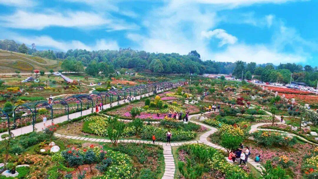 都江堰玫瑰花溪谷景区(都江堰玫瑰花溪谷在什么位置) 都江堰玫瑰花溪谷景区(都江堰玫瑰花溪谷在什么位置)