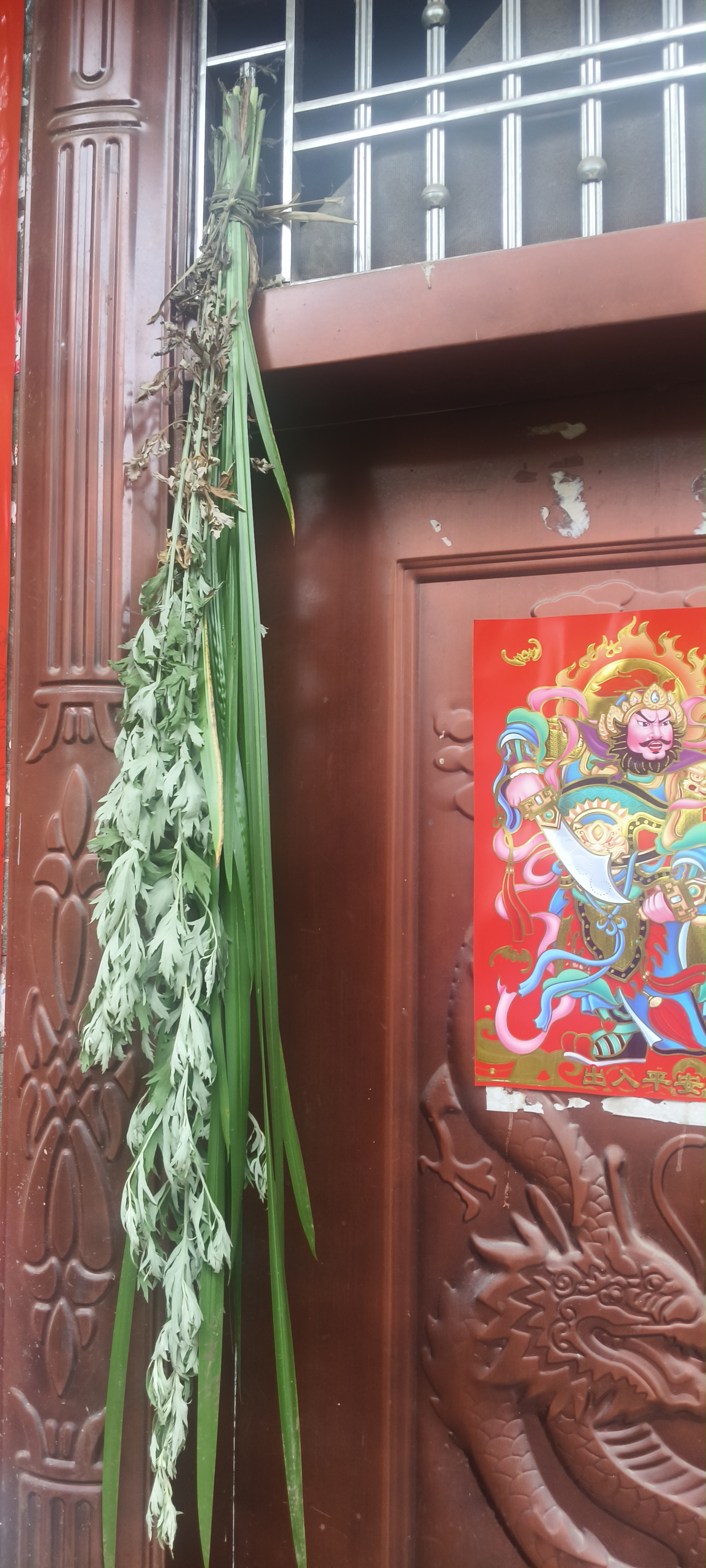 菖蒲图片大全(菖蒲图片大全 功效) 菖蒲图片大全(菖蒲图片大全 功效)