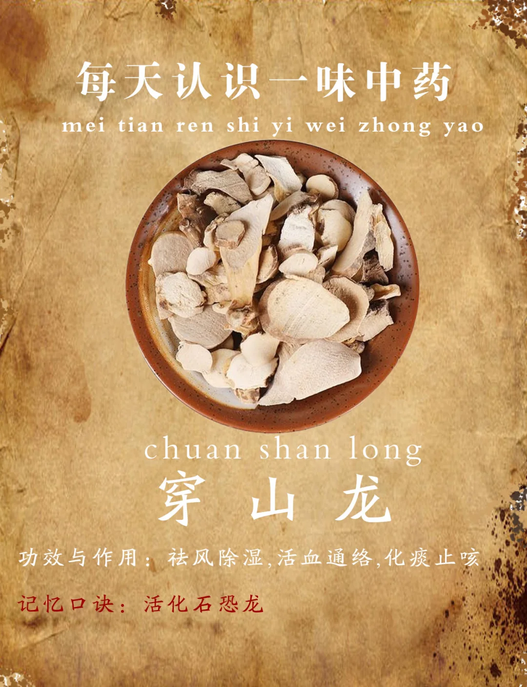 过岗龙的功效与作用(过岗龙的功效与作用与主治) 过岗龙的功效与作用(过岗龙的功效与作用与主治)