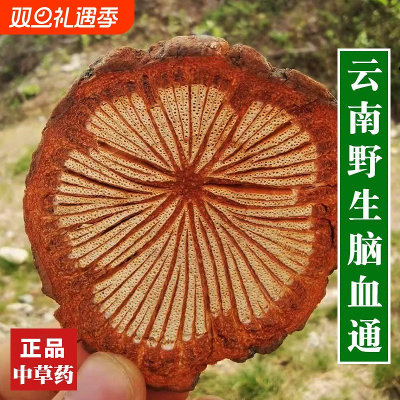 过岗龙的功效与作用(过岗龙的功效与作用与主治) 过岗龙的功效与作用(过岗龙的功效与作用与主治)
