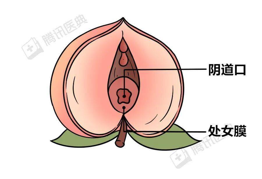 包含女生隐私部位图片的词条 包含女生隐私部位图片的词条