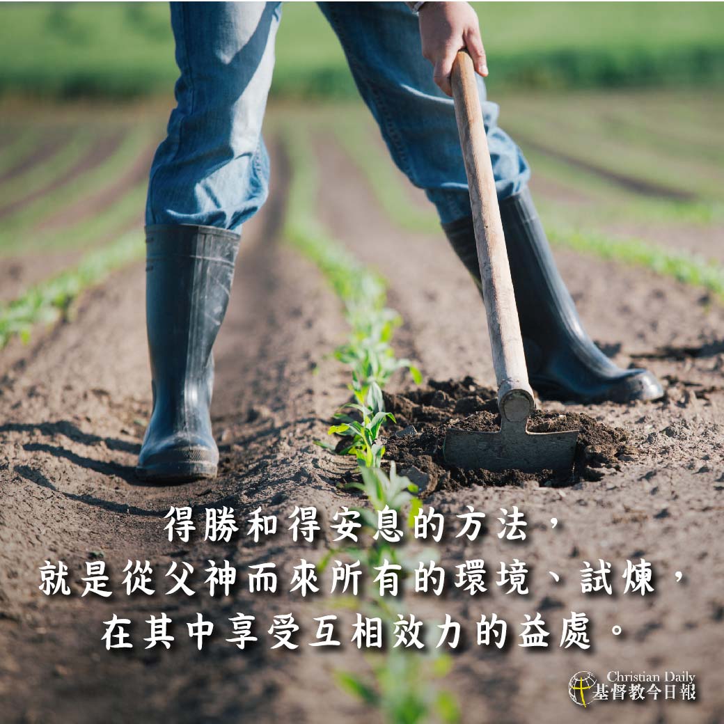 全球基督徒见证网(基督教全球见证分享视频) 全球基督徒见证网(基督教全球见证分享视频)