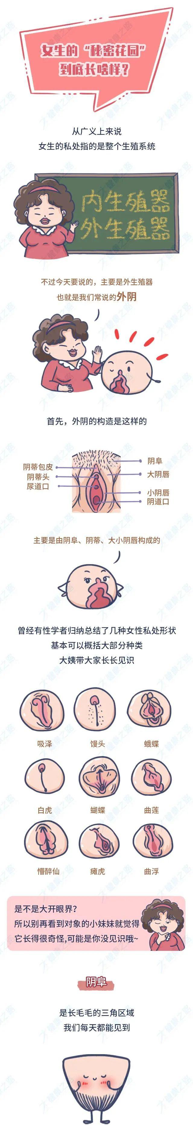 女人的下部图片大全(女人下部位有多少种图片) 女人的下部图片大全(女人下部位有多少种图片)
