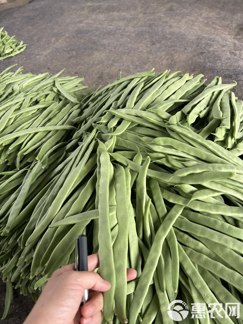 云豆角图片(云豆角的做法大全家常做法)