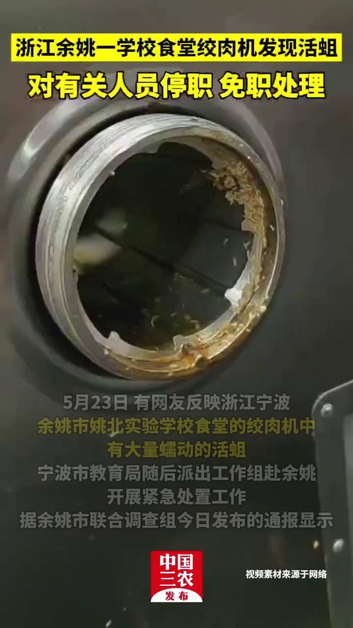关于教育局通报配餐公司厨具遍布蛆虫的信息 关于教育局通报配餐公司厨具遍布蛆虫的信息