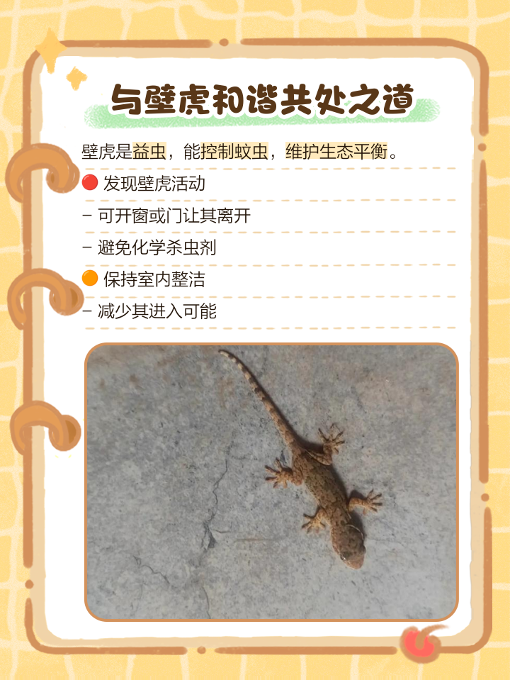 怎样驱赶壁虎(怎样驱赶壁虎最有效?温和方法和彻底驱赶方法有啥区别?) 怎样驱赶壁虎(怎样驱赶壁虎最有效?温和方法和彻底驱赶方法有啥区别?)