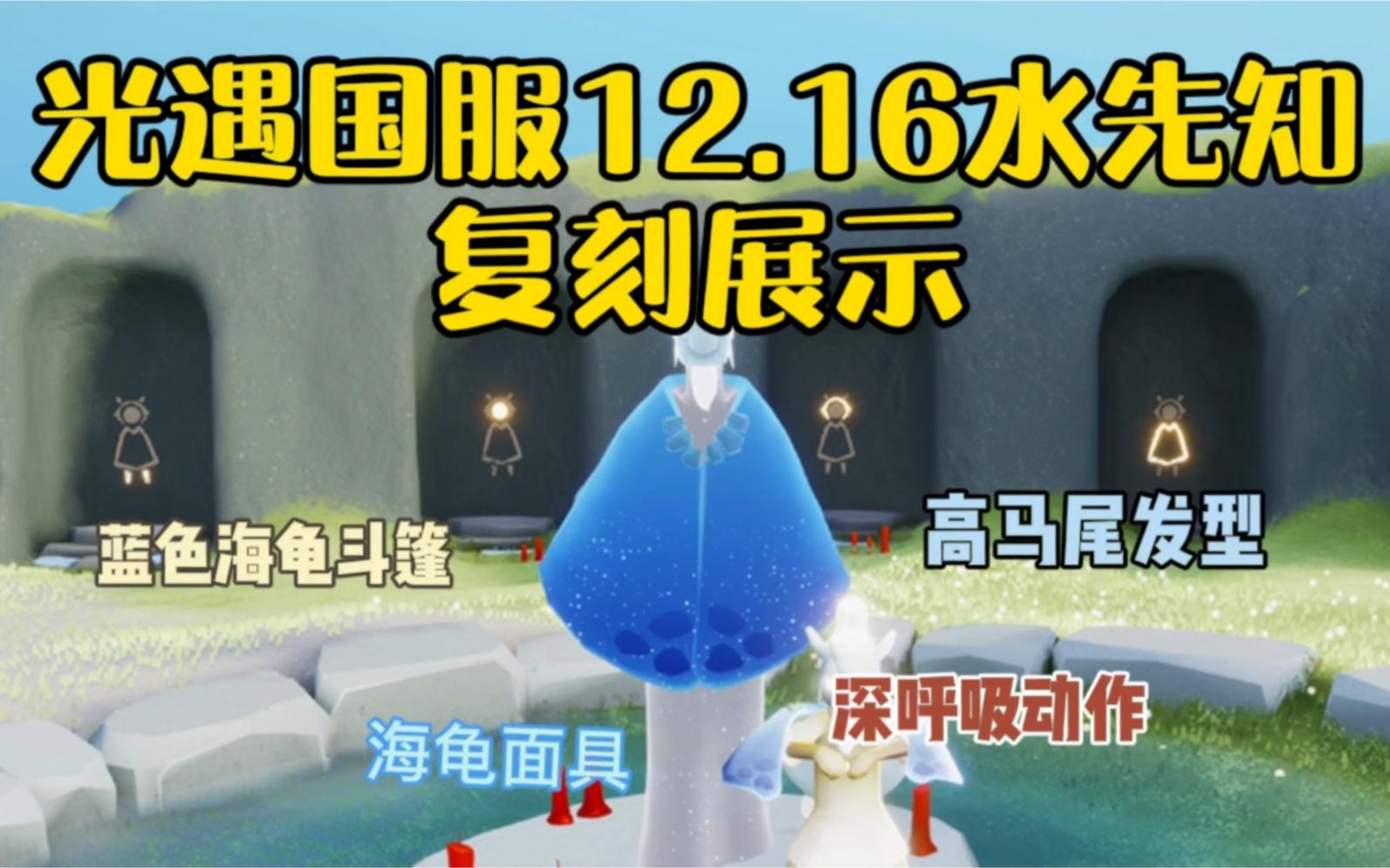 海龟斗篷(海龟套装效果) 海龟斗篷(海龟套装效果)