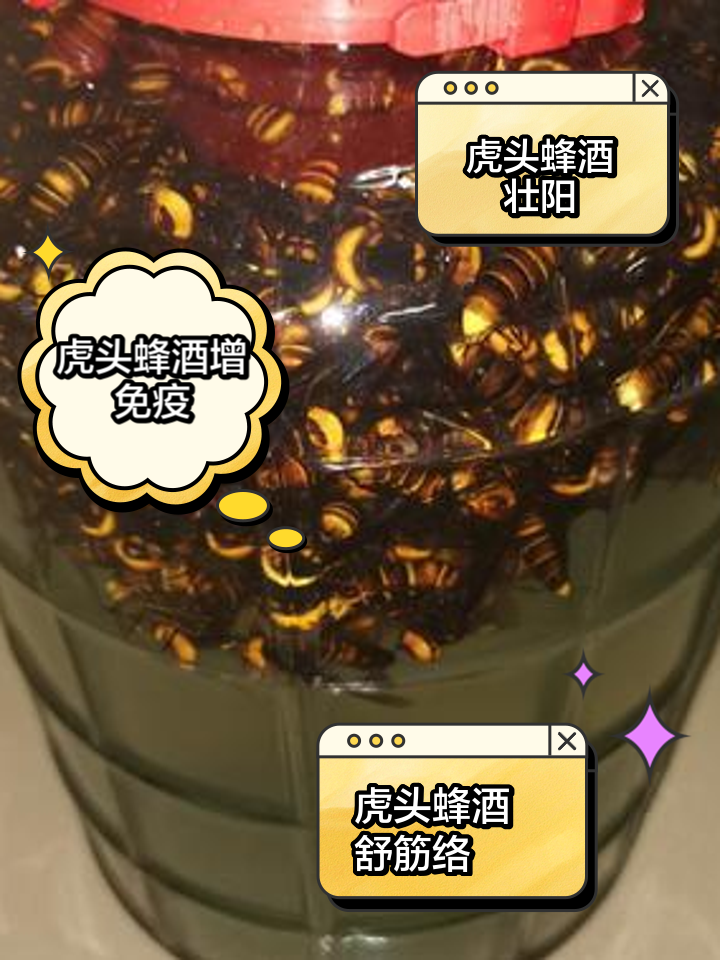 虎头蜂泡酒有什么功效(虎头蜂泡酒的功效与危害)