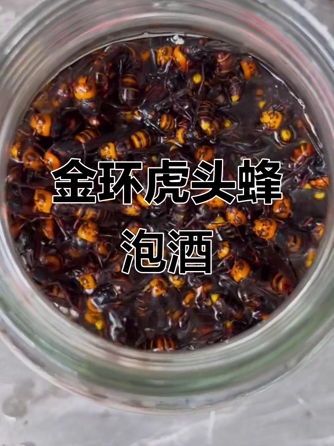 虎头蜂泡酒有什么功效(虎头蜂泡酒的功效与危害) 虎头蜂泡酒有什么功效(虎头蜂泡酒的功效与危害)