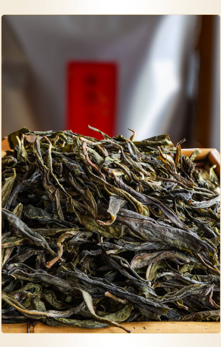 麻黑古树茶多少钱一斤(麻黑古树茶为什么越来越贵)