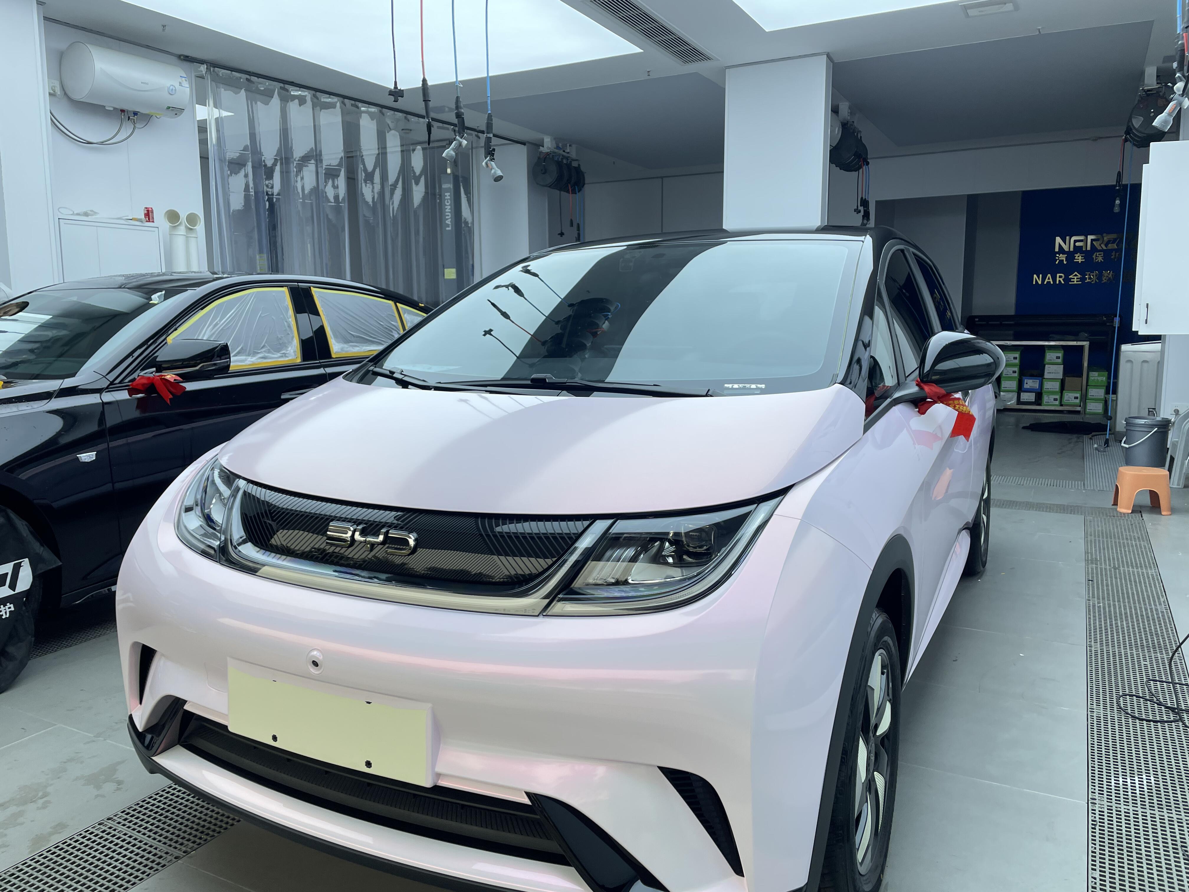小海豚电动汽车(小海豚电动汽车图片)